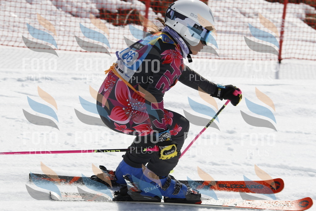 _U3G1476 | holidayphoto