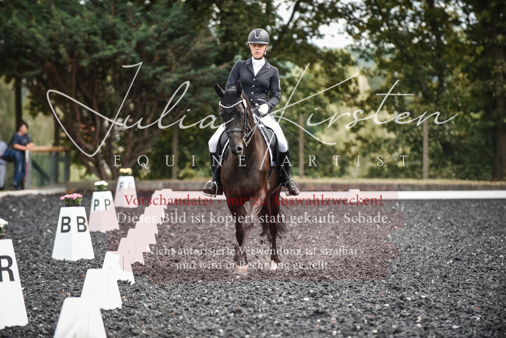 DSC_5067 | Pferde- und Turnierfotografie in Westsachsen. Pferdeportraits, Auftragszeichnungen und intuitive Kunst.