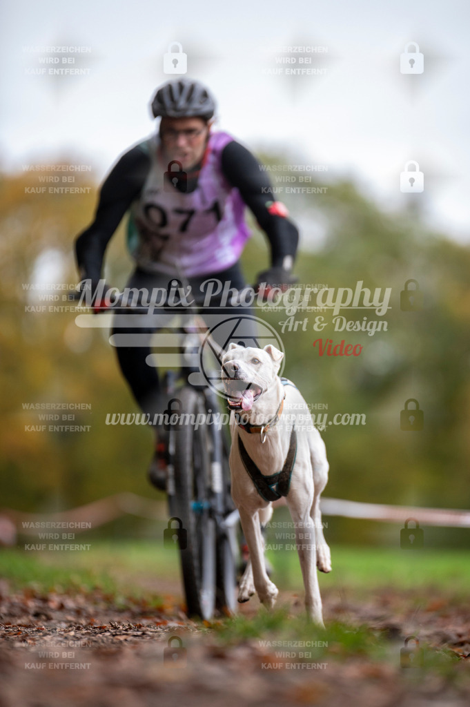 DBT_DAKM_SA_4_11_2023_Bike-82 | PayLife