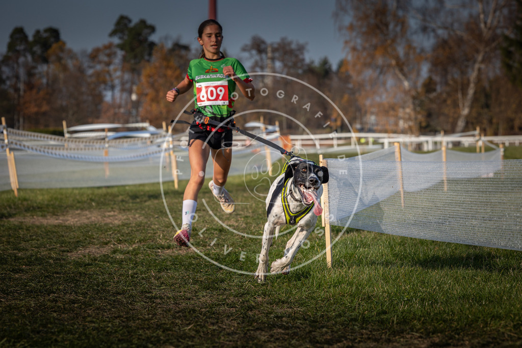 CaniXpix_0L8A9827 | Hundefotografie, Tierfotograf, Pfotenfotografie, Fotoshooting Hund, Hunde Portrait, Hundesport, Hundeportraits, Heideshooting, Hunde, Sportfotograf, Hundefotograf, Turnierhundsport, THS,  - Realisiert mit Pictrs.com