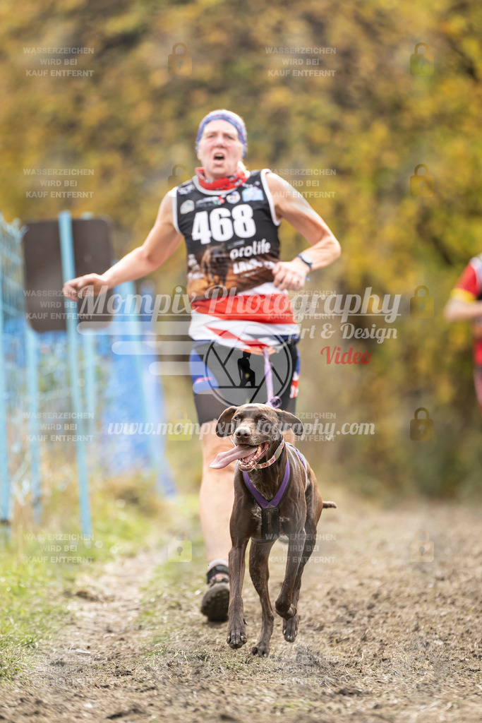 MompixPhotography_ICF_WC_2024_SA_Run_-484 | PayLife