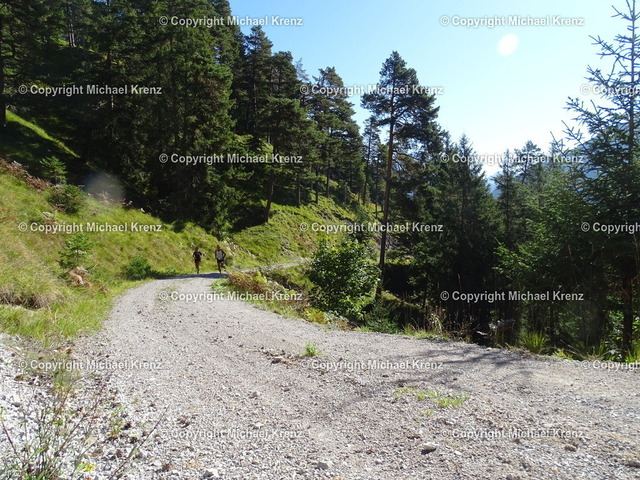 DSC02901 | Michael Krenz