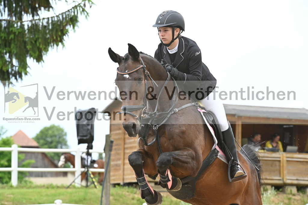 DSC_9206 | equestrian-live-com