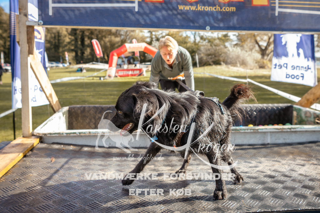 1428_ZZ94586-2 | kk-dogfotos