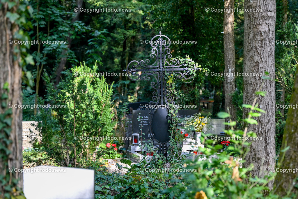 Friedhof_ Allerheiligen_ 16.10.2023-7 | 16.10.2023, Friedhof, AUT, Allerheiligen, Themenbilder im Bild Friedhof, Kreuz, Kruzifix, Jesu Christi, Allerheiligen, Engerl, Engel, Kerzen, Grab, Grablicht, Blumen, Symbolbild, Feature