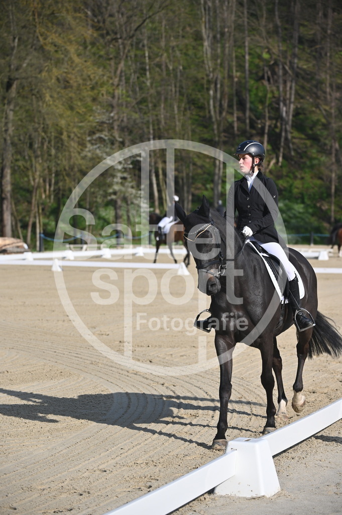 DSC_9935 | sattelsport - Realisiert mit Pictrs.com