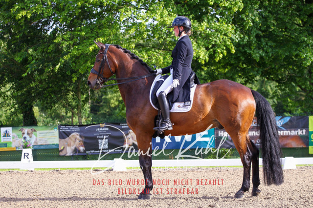 DKP41717 | Deine Turnierfotos vom Reitturnier online kaufen: Dressur, Springen & Siegerehrung. Professionelle Pferdefotografie aus dem Rheinland – als Download & Print.Alternative: Turnierfotograf für den Pferdesport: Finde deine Fotos von Dressur- und Springturnier