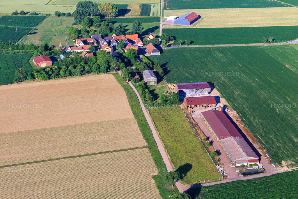 Vue aérienne: Quartier de Geitershof à le quartier Altenstadt in Wissembourg dans le département Bas Rhin, France – .Photo: IMG_100969.jpg prise le 17/06/2017 par Werner Riehm/FLY-FOTO.eu – Résolution de l'original: 5472 x 3648 px