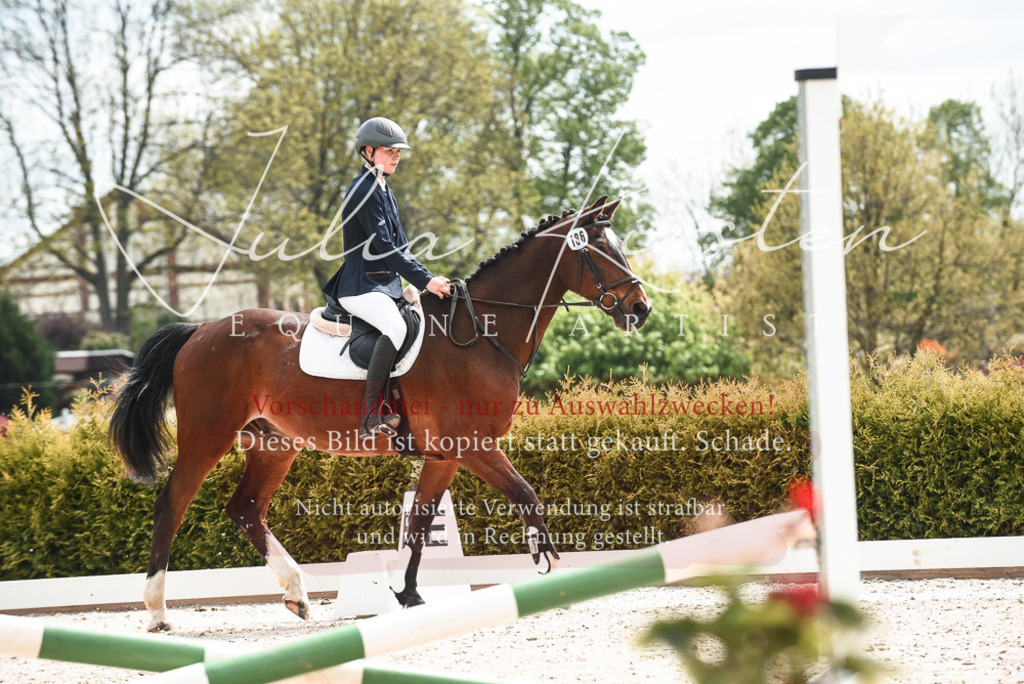20230518_JK-Röhrsdorf-10-058 | Pferde- und Turnierfotografie in Westsachsen. Pferdeportraits, Auftragszeichnungen und intuitive Kunst.
