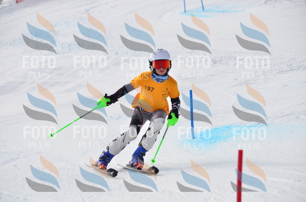 C8094 | holidayphoto