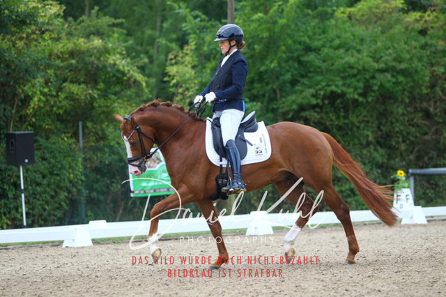 DKP40401 | Turniersportfotografie; Pferdefotografie; Dressurfotografie