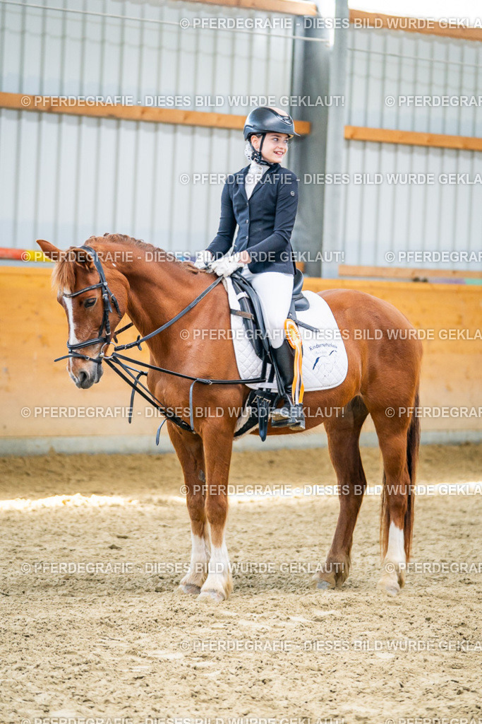 DSC03072 | Pferdegrafie