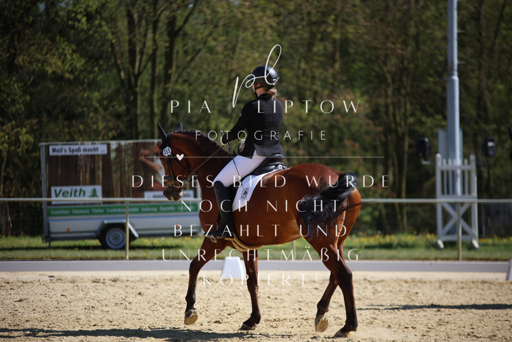 IMGT1929 | pl-fotografie