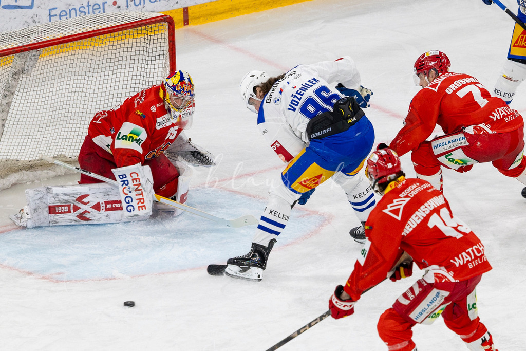 EHCB vs EVZ 20260227_WB-7045 | Sportbilder, Sportfotograf, Hochzeits- und Eventfotografin, Flugshows, Portraits und Tiershooting, Aviation, Downhill, Nationalleague, Swissleague, International