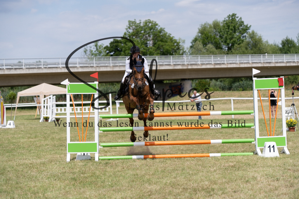 A7V01952 | Pferdefotograf