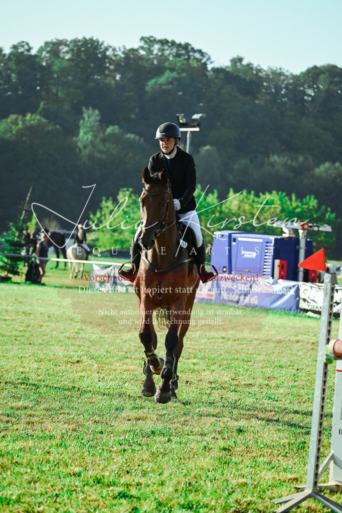 DSC_4505 | Pferde- und Turnierfotografie in Westsachsen. Pferdeportraits, Auftragszeichnungen und intuitive Kunst.