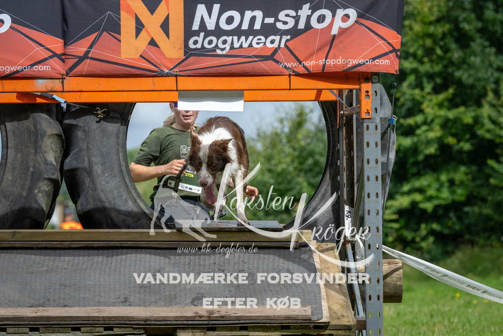 1147_ZZ93002 | kk-dogfotos