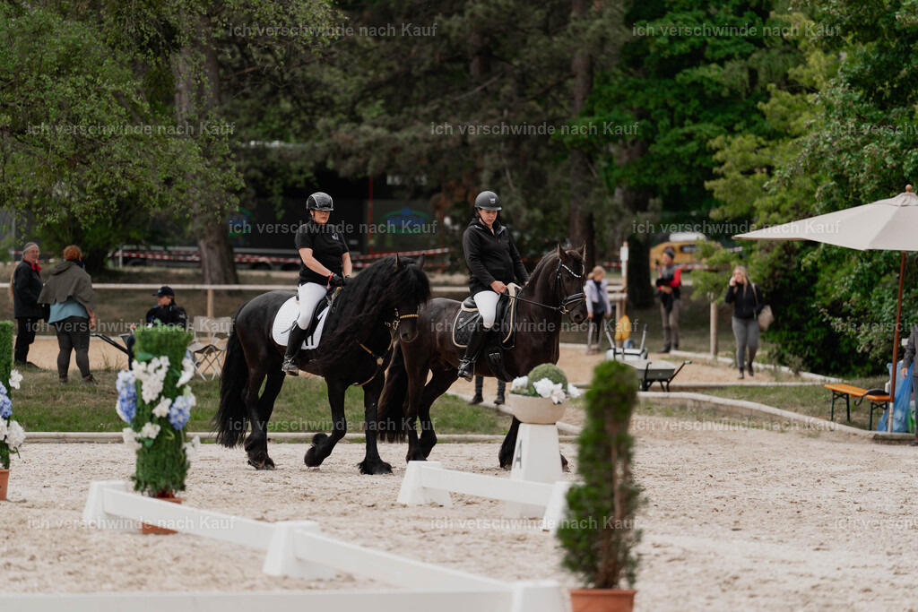Showprogramm-172 | working equitationturnier fotograf videograf stoibphotography marixx film working equitation deutschland reitsport turnierfotografie eventfotografie equestrian events