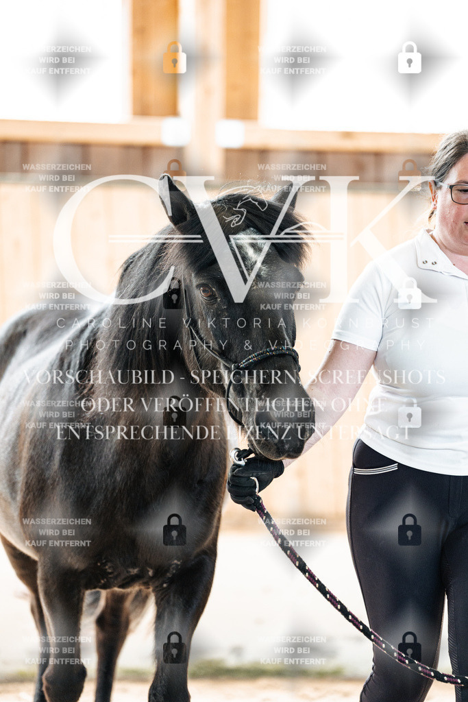 CK906512 | Turnierfotografie Pferdefotografie Trier Rheinland-Pfalz Pferdesport Reitsport Tierfotografie Sportfotografie Pferdevideo Pferdevideografie Equestrianvideography equestrianphotography  - Realisiert mit Pictrs.com