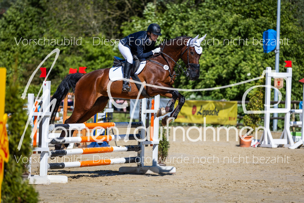 Donop24-A2Spr-143 | MomenTaufnahmen Pferdesportfotos