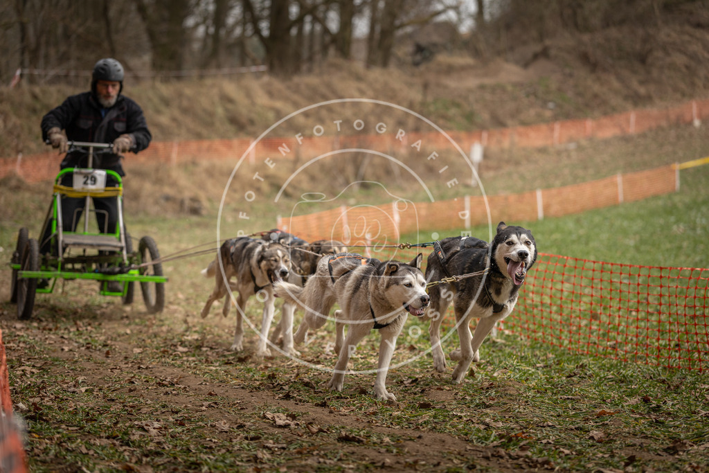 Pfotenfotografie_DV3A8420 | Hundefotografie, Tierfotograf, Pfotenfotografie, Fotoshooting Hund, Hunde Portrait, Hundesport, Hundeportraits, Heideshooting, Hunde, Sportfotograf, Hundefotograf, Turnierhundsport, THS,  - Realisiert mit Pictrs.com