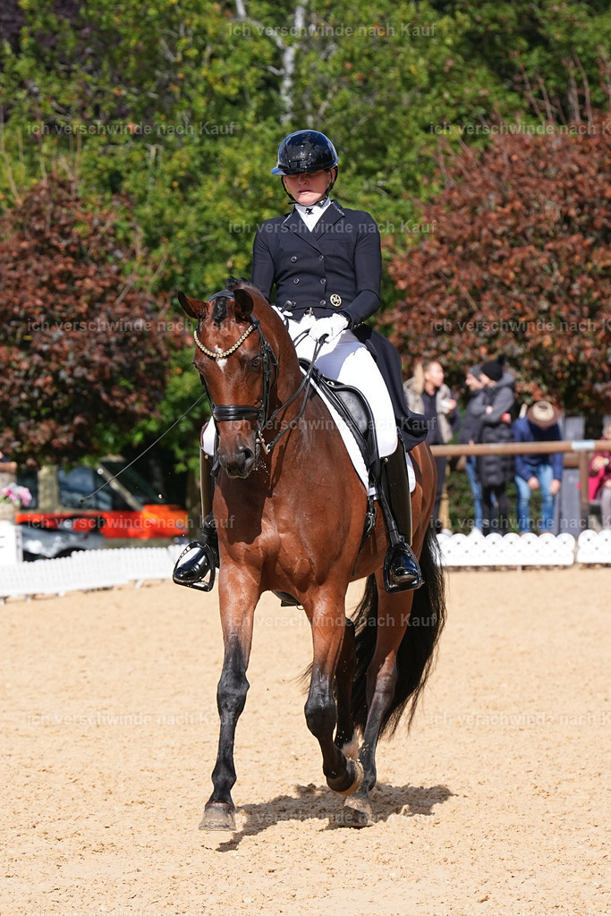 09_2-100-DRESSUR  S_  -Marixx-5974 | working equitationturnier fotograf videograf stoibphotography marixx film working equitation deutschland reitsport turnierfotografie eventfotografie equestrian events