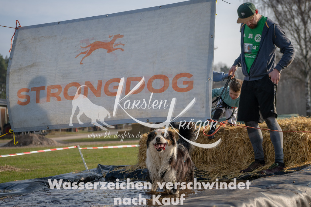 _ZZ91791 | kk-dogfotos