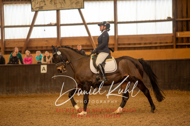 IMG_0038 | Turniersportfotografie; Pferdefotografie; Dressurfotografie