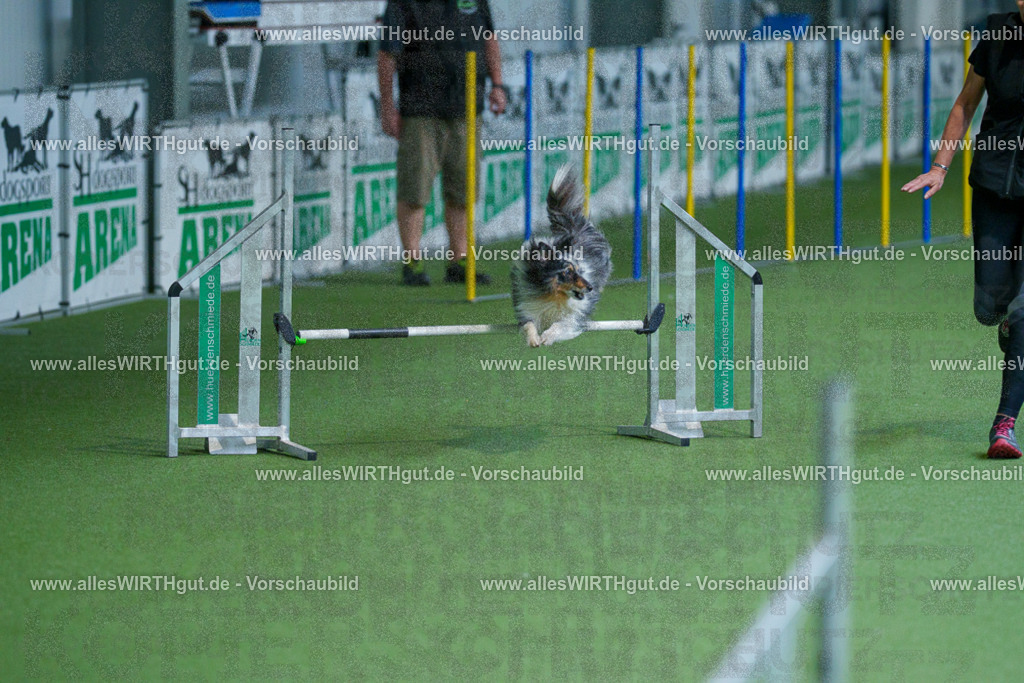 @allesWIRTHgut_Tierfotografie - www.allesWIRTHgut.de - 2604261458-7R504184 | Professionelle Tierfotografie in Mönchengladbach von Daniel Wirth (allesWIRTHgut). Liebevolle & natürliche Bilder von Hunden & Katzen für unvergessliche Erinnerungen.