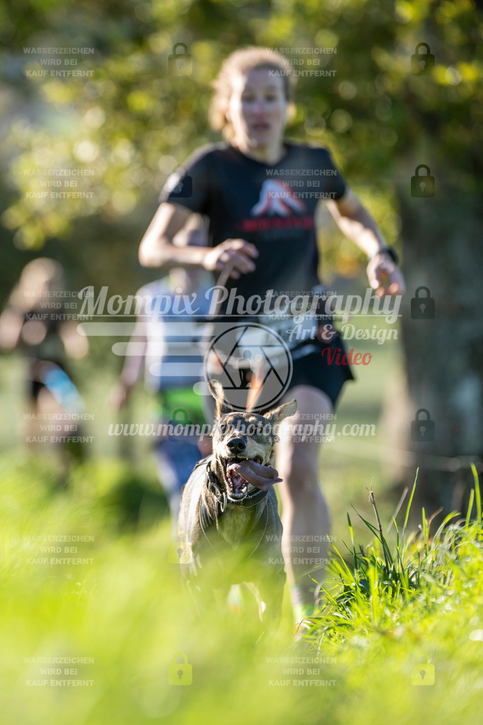 MompixPhotography_20TSB_E3_Run-196 | PayLife