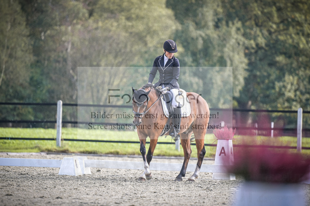 DOS_B739 | Entdecke hochwertige Reitturnierfotos von Foto Oger. Professionell, emotional und authentisch – jetzt Lieblingsmomente im Shop bestellen.Deutschlandweite Turnierfotografie. - Realisiert mit Pictrs.com