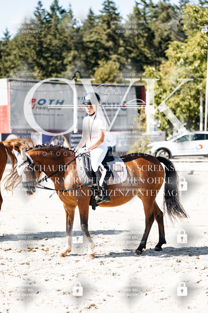 CK902937 | Turnierfotografie Pferdefotografie Trier Rheinland-Pfalz Pferdesport Reitsport Tierfotografie Sportfotografie Pferdevideo Pferdevideografie Equestrianvideography equestrianphotography  - Realisiert mit Pictrs.com