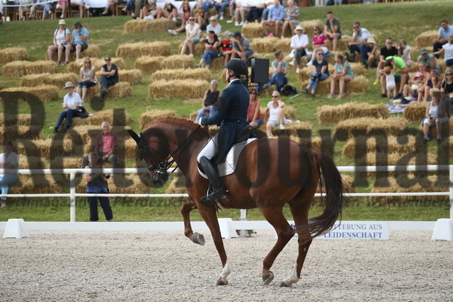 Birkhof_2022_GrandPrixSpecial_Nicole Casper_Birkhof_s Don Röschen FBW(14) | Alle Fotos der Reiterjournal Fotografin Doris Matthaes im Reiterjournal Online-Fotoshop. - Realisiert mit Pictrs.com