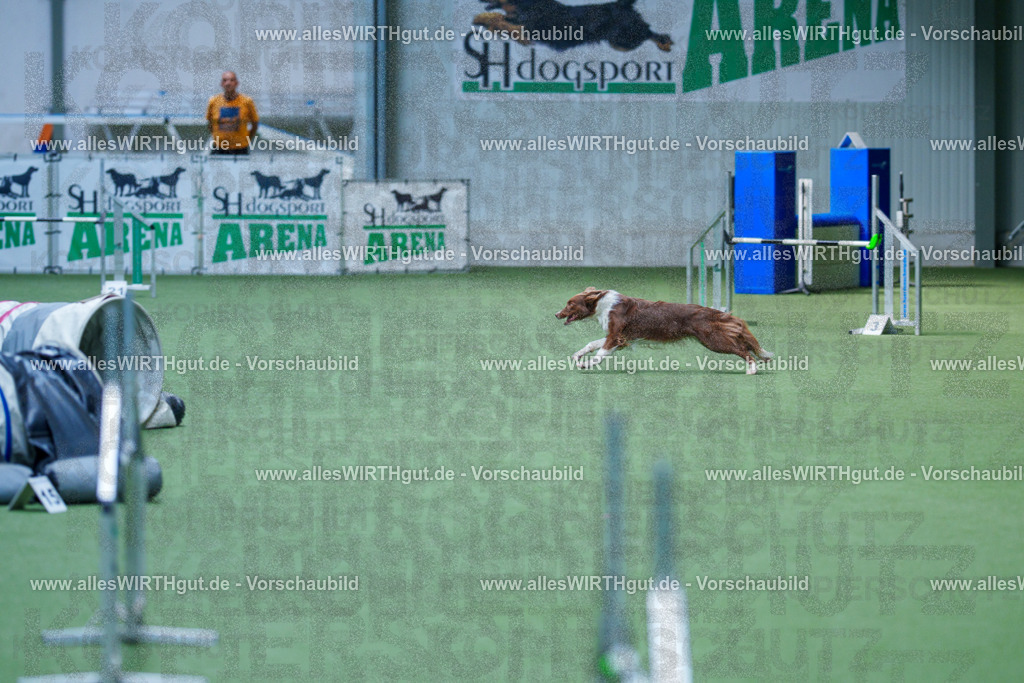 @allesWIRTHgut_Tierfotografie - www.allesWIRTHgut.de - 2604261402-7R503255 | Professionelle Tierfotografie in Mönchengladbach von Daniel Wirth (allesWIRTHgut). Liebevolle & natürliche Bilder von Hunden & Katzen für unvergessliche Erinnerungen.