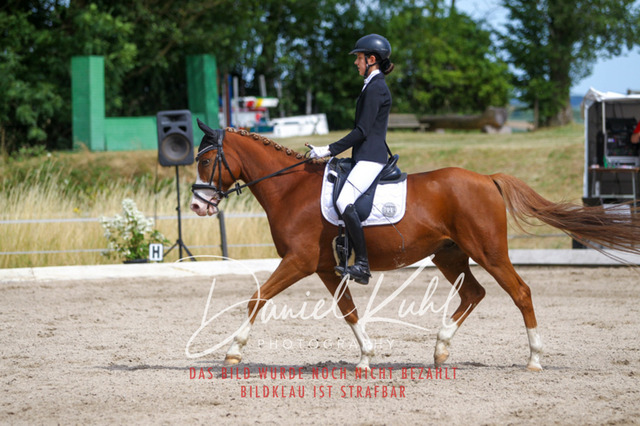 DKP46721 | Turniersportfotografie; Pferdefotografie; Dressurfotografie