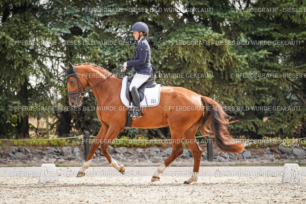 DSC07542 | Pferdegrafie