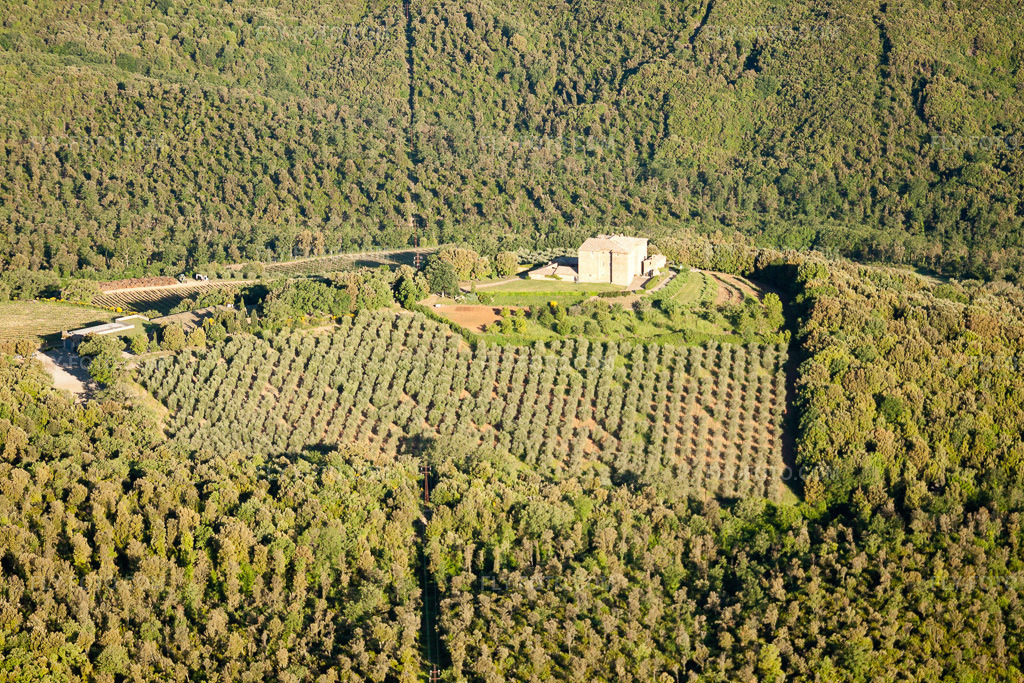 Aerial view: View of the town in Montalcino in the state Siena, Italy. – Photo: IMG_28179.jpg taken on 06/01/2010 by Werner Riehm/FLY-FOTO.com – Resolution of the original: 4752 x 3168 px