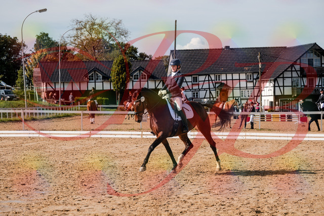 2026_10_03_Siefer-Hof_125538_Z63_62388438 | Professionelle Reitsport-, Turnier- und Eventfotografie von Robert Broda. Galerien mit ausgewählten und bearbeiteten Bildern direkt online ansehen und bestellen.