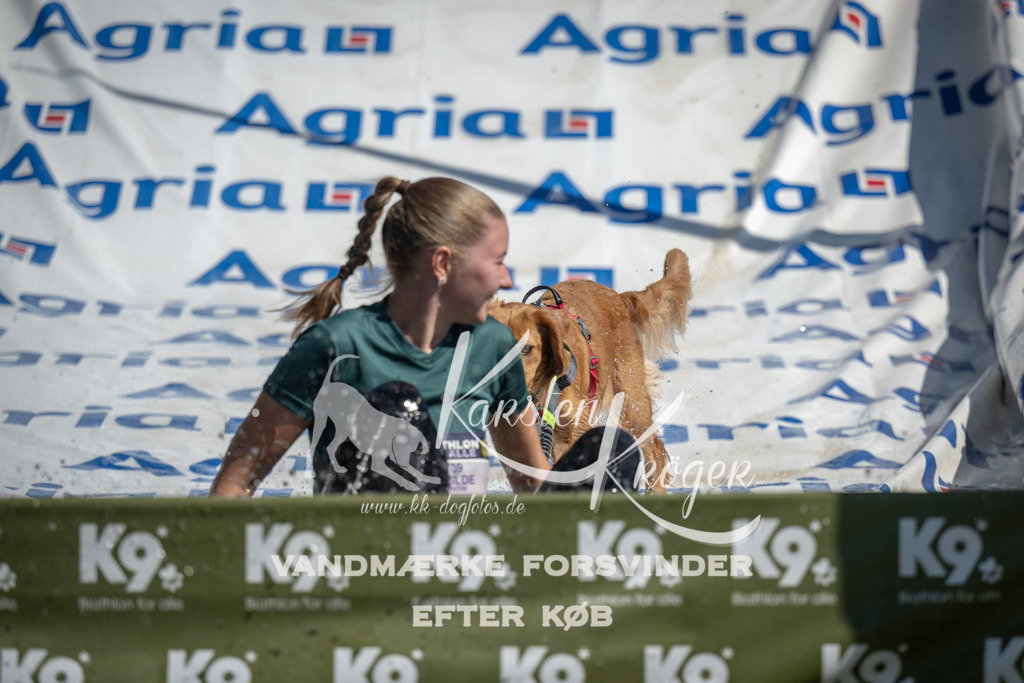 1158_ZZ94682 | kk-dogfotos