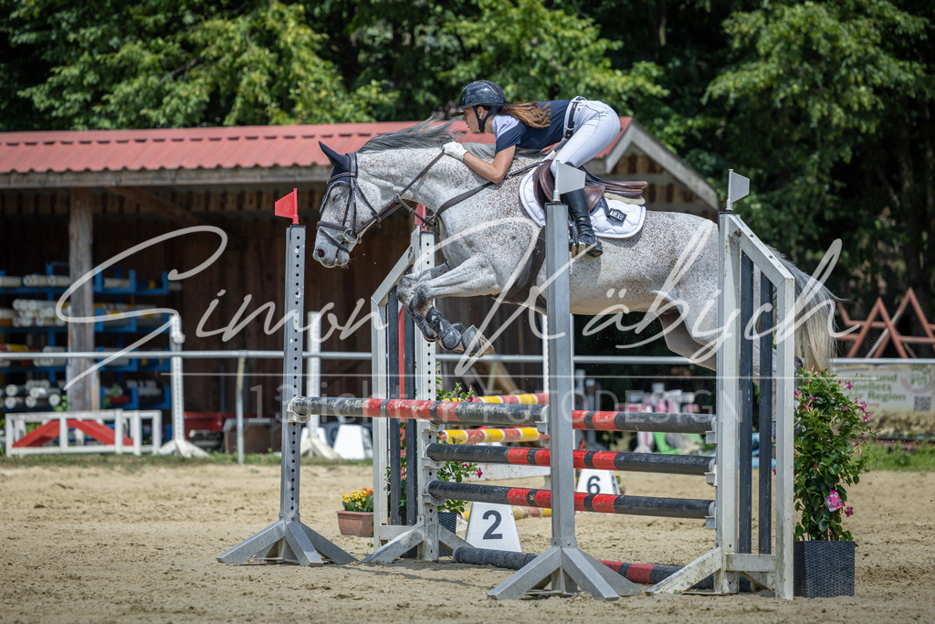 20260704-_3LI9915 | Tierfotografie Pferde, Hunde, Katzen, Haustiere.
Turnierfotografie Reitturniere, Reiten, Springreiten, Dressur in Hanau, dem Main-Kinzig-Kreis und dem Rhein-Main- Gebiet um Frankfurt