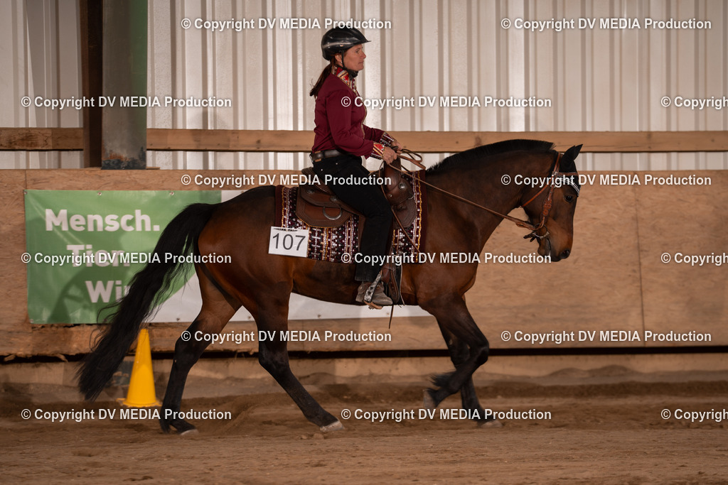 Unbenannt-55 | dv-media-shop - Realisiert mit Pictrs.com