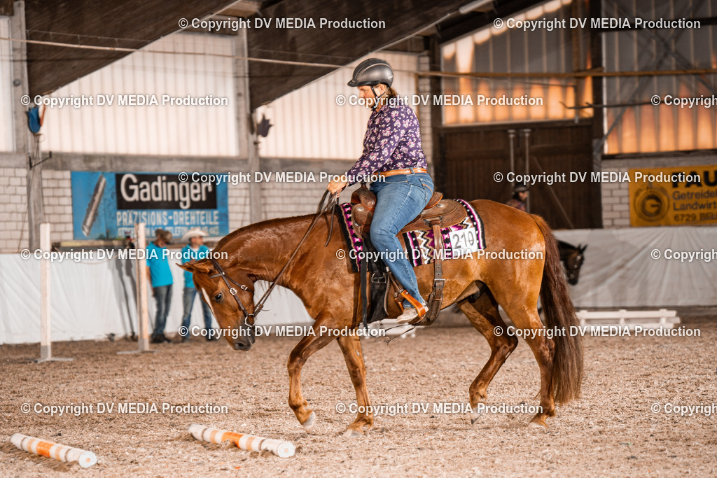 ZH200623 | dv-media-shop - Realisiert mit Pictrs.com