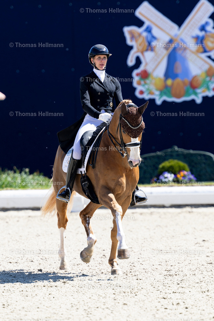 TH_594-Borghese MT-Soddemann_ Kira Laura_27942 | Horses &amp; Dreams meets the Netherlands 2025 am 27.04.25 in Hagen a.T.W., 594Borghese MTSoddemann, Kira Laura