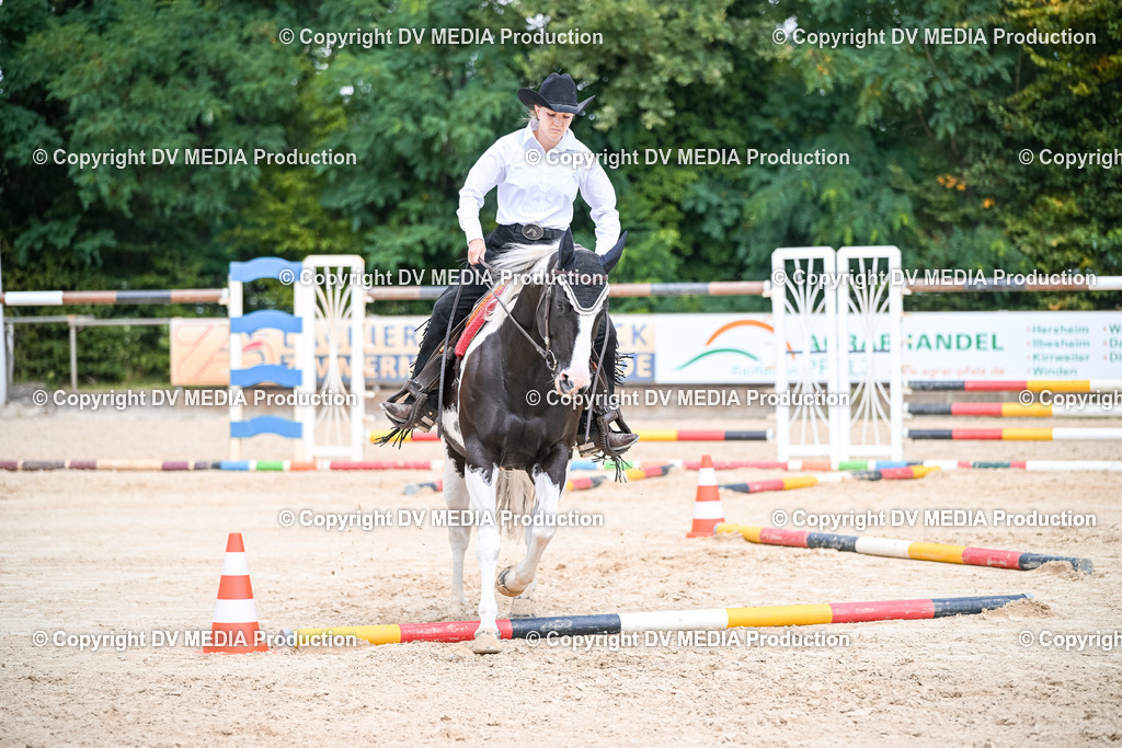 ZS2_3743 | dv-media-shop - Realisiert mit Pictrs.com