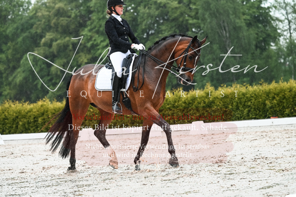 DSC_4558 | Pferde- und Turnierfotografie in Westsachsen. Pferdeportraits, Auftragszeichnungen und intuitive Kunst.
