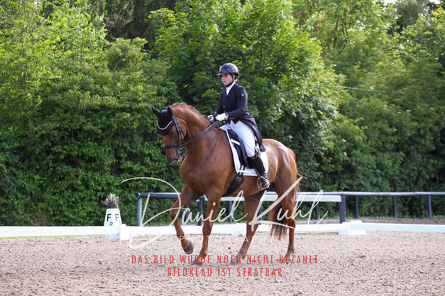 DKP41580 | Deine Turnierfotos vom Reitturnier online kaufen: Dressur, Springen & Siegerehrung. Professionelle Pferdefotografie aus dem Rheinland – als Download & Print.Alternative: Turnierfotograf für den Pferdesport: Finde deine Fotos von Dressur- und Springturnier