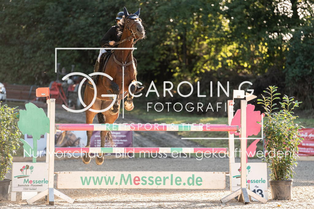 DSC04486 | Carolin Gieschke