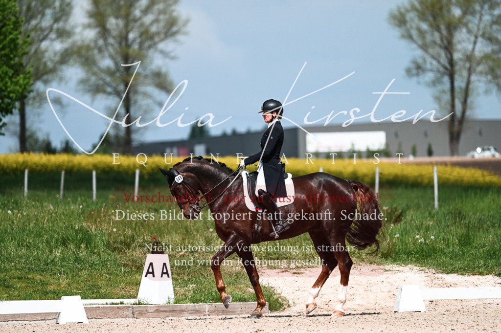 20230514_JK-Röhrsdorf-21-135 | Pferde- und Turnierfotografie in Westsachsen. Pferdeportraits, Auftragszeichnungen und intuitive Kunst.