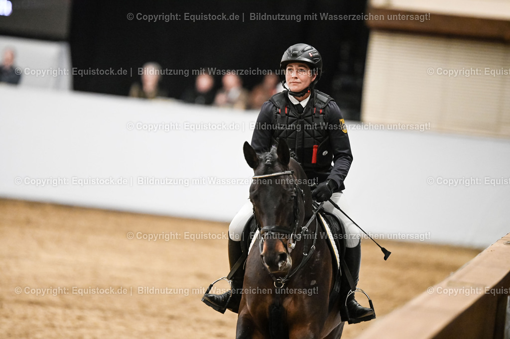 20260307_Hengstvorstellung-Marbach_0453 | equistock