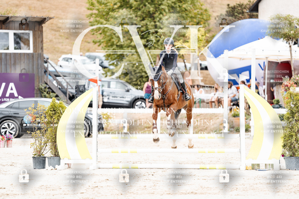 CK907917 | Turnierfotografie Pferdefotografie Trier Rheinland-Pfalz Pferdesport Reitsport Tierfotografie Sportfotografie Pferdevideo Pferdevideografie Equestrianvideography equestrianphotography  - Realisiert mit Pictrs.com